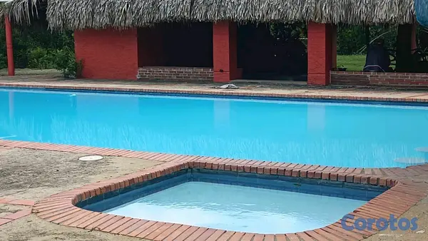otros inmuebles - excelente finca de 50 tareas en Santo Domingo  4
