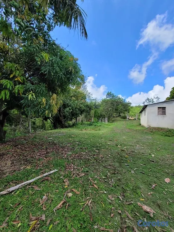 solares y terrenos - Vendo Finca en Yamasa, Monteplata 8