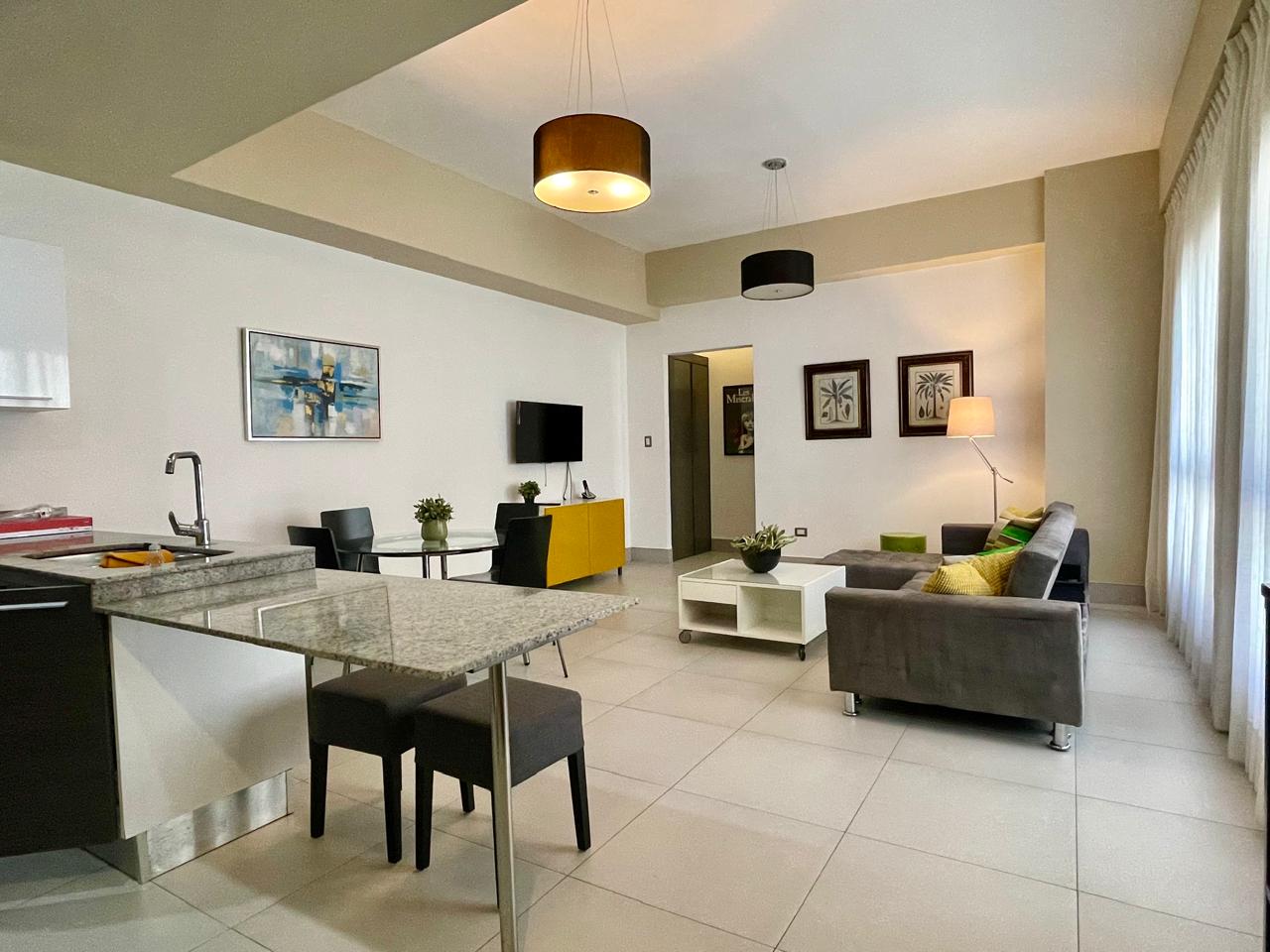 apartamentos - Rento Apartamento Amueblado Moderno Piantini 2