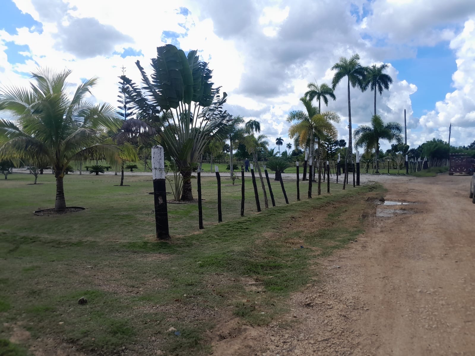 solares y terrenos - venta de finca de 15,193mts en Higuey República Dominicana  1