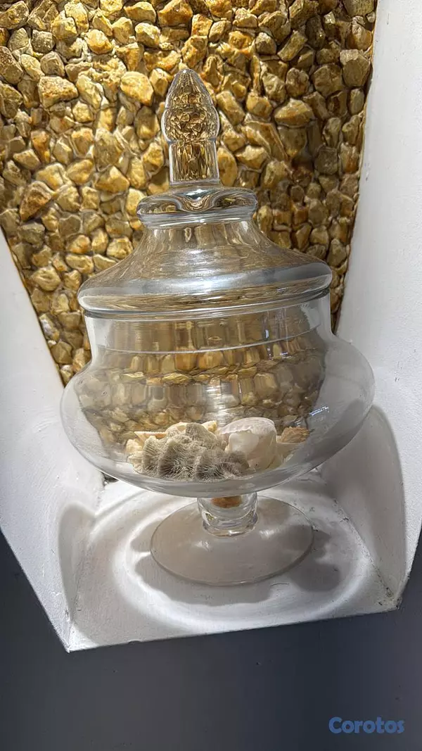 decoración y accesorios - Tarro, lampara, macetero, planta  6