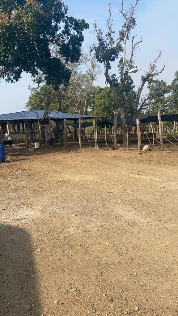 solares y terrenos - Finca 520 tareas en monte plata, en Don Juan 
 3