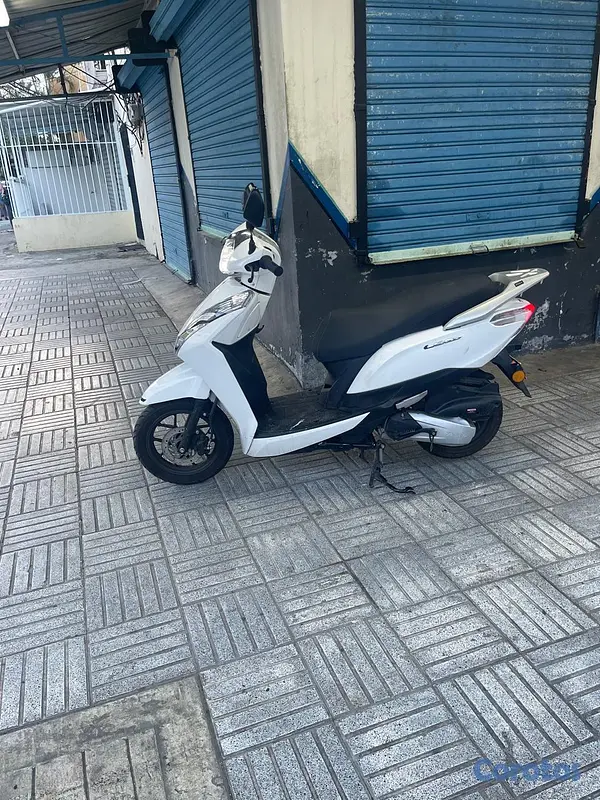 motores y pasolas - TAURO LEAD 2025 1