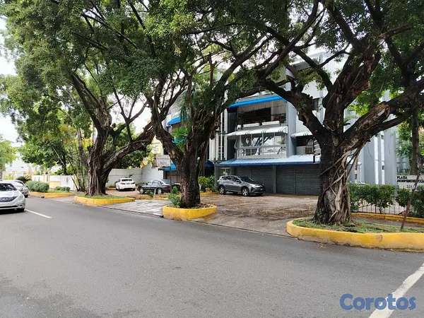 oficinas y locales comerciales - RENTO LOCAR COMERCIAL- EN EL SECTOR GAZCUE  3