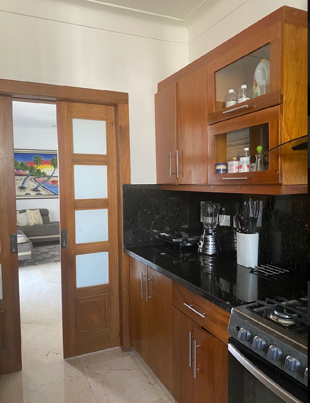 apartamentos - MIRADOR SUR entre Anacaona y Rómulo Betancourt