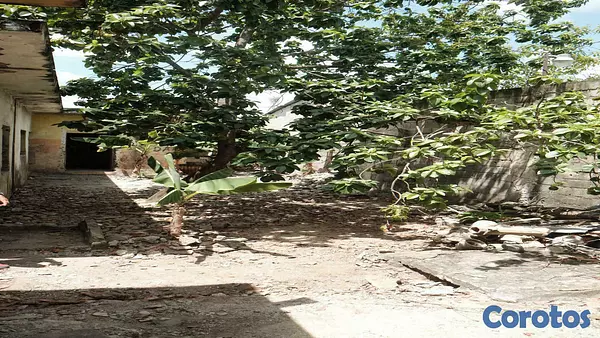 solares y terrenos - Terreno en boca chica 3