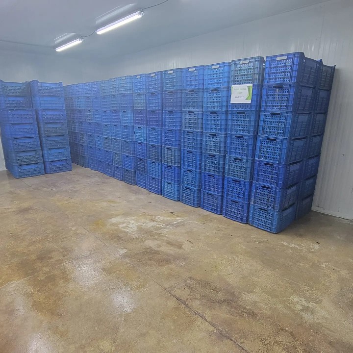oficinas y locales comerciales - Sin intermediarios 
Rento Nave con Cuarto Frio 2