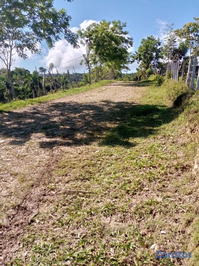 solares y terrenos - finca ganadera en moca  5