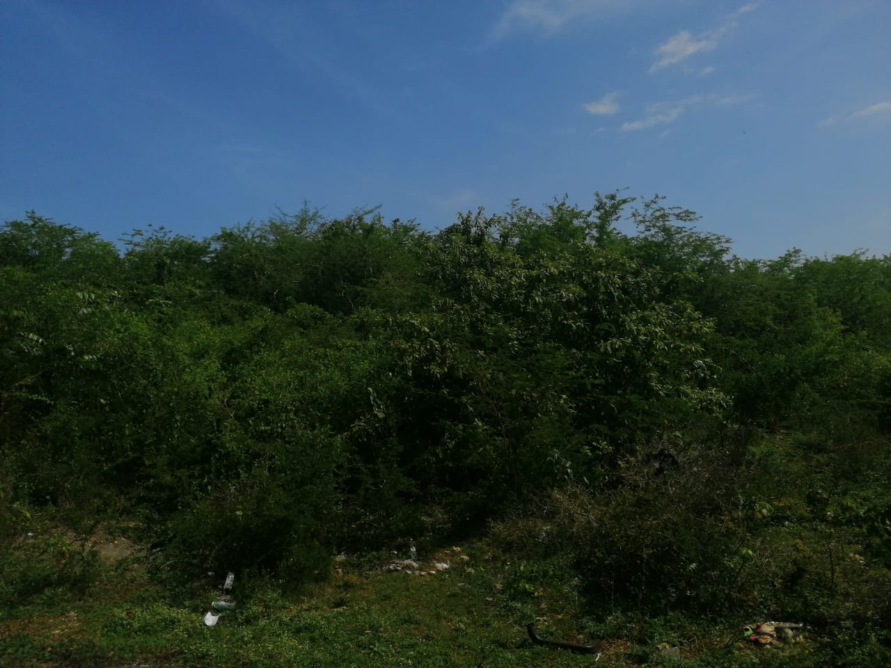 solares y terrenos - Terreno de 90,000 metros cuadrados, Autopista de San Isidro 1