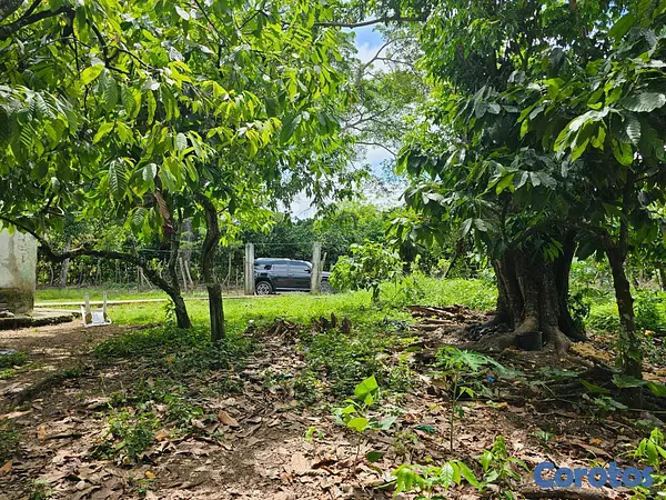solares y terrenos - Terreno Residencial en Venta San Francisco de Macorís Macoris 2