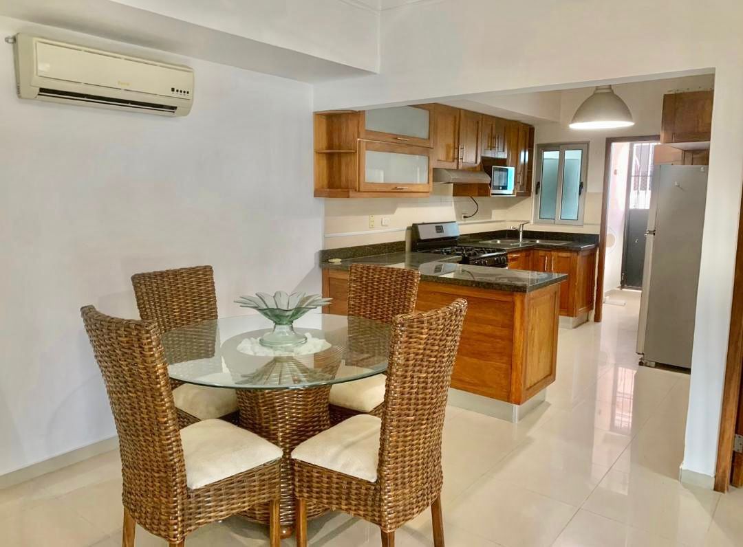 apartamentos - Alquilo Apartamento Amueblado en Piantini  1