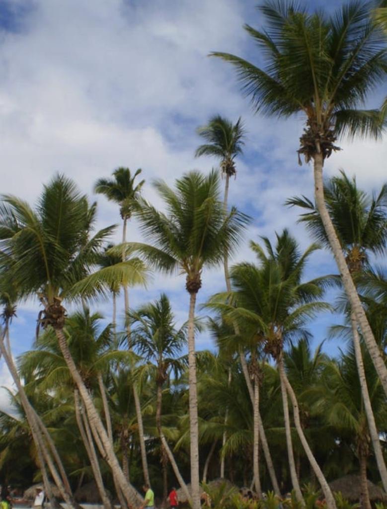 solares y terrenos - Vendo terreno en Bayahibe La Romana 
Excelente para proyecto Hotelero o  villas