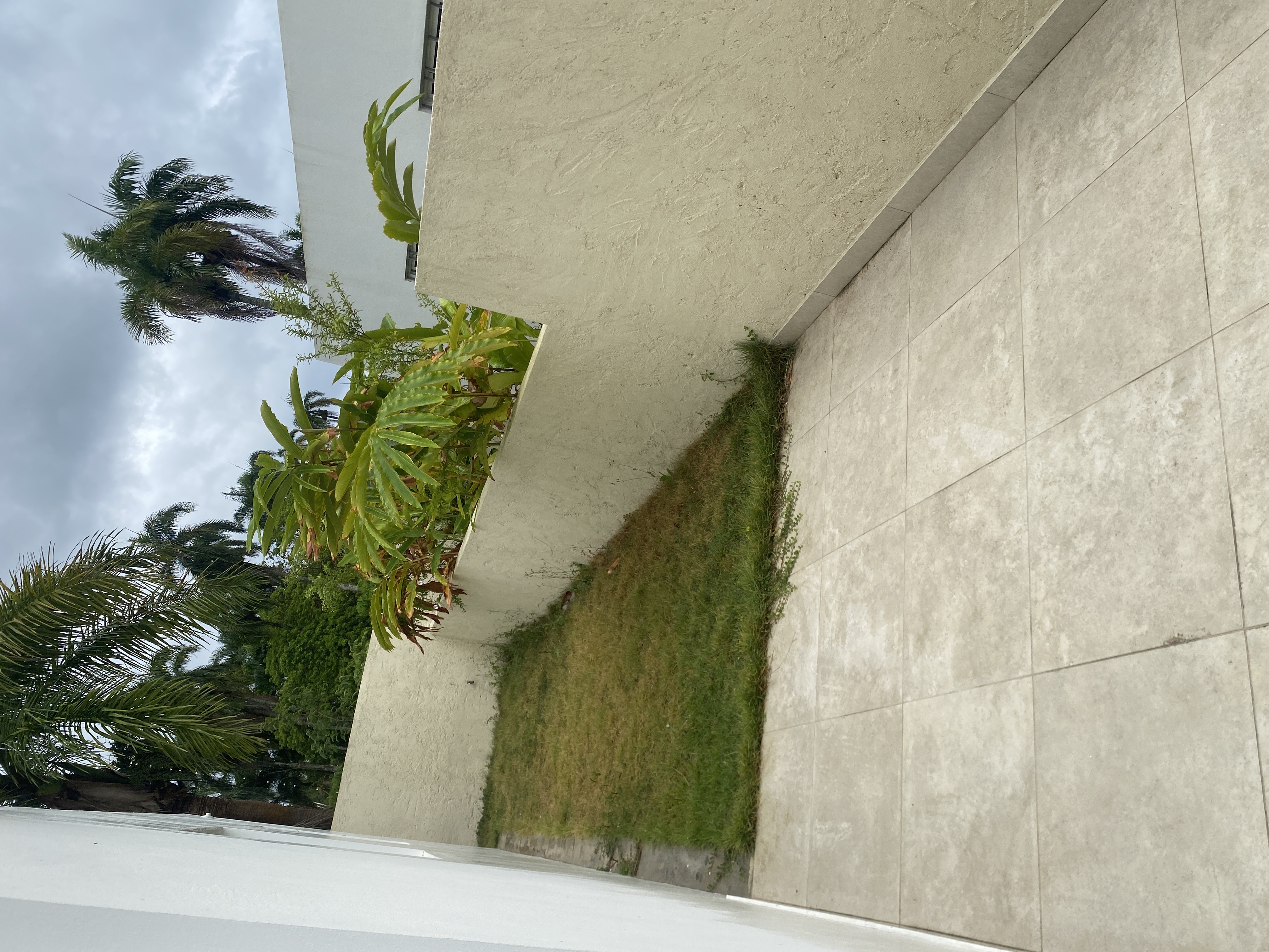 casas - casa económica en puerto plata  8