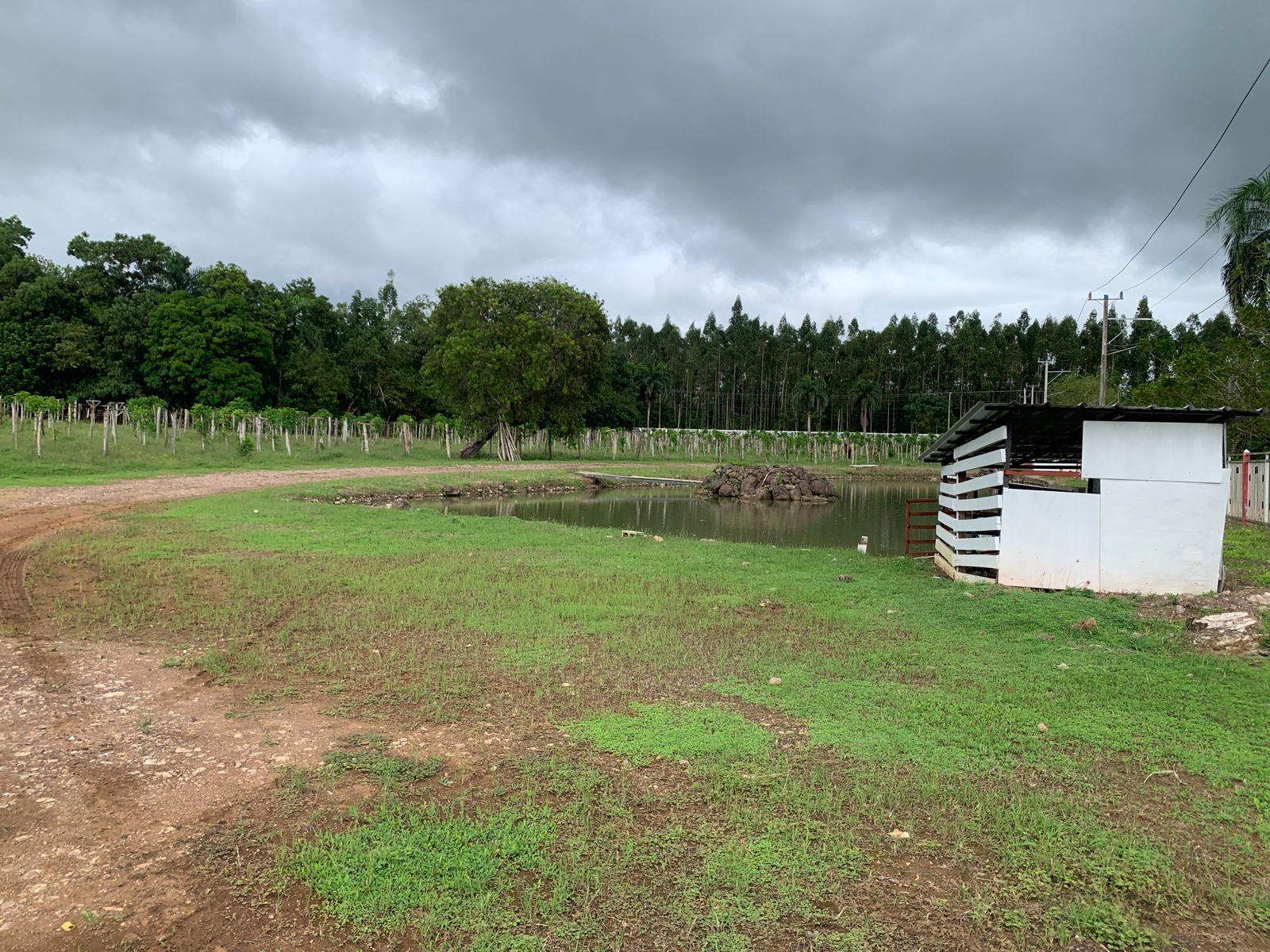 solares y terrenos - Finca Venta Monte Plata