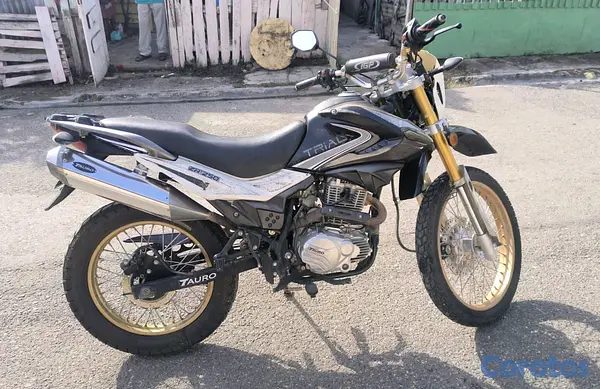 motores y pasolas - Motor Tauro  2