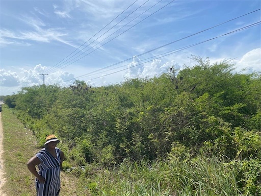 solares y terrenos - Venta de terreno de oportunidad en boca chica en la misma avenida con 100,000mts 1