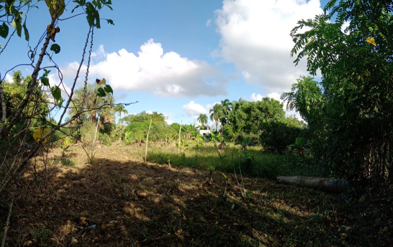 solares y terrenos - 5 tareas de tierra negra en Higüey