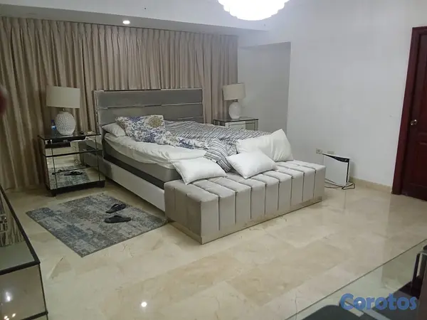 apartamentos - OPORTUNIDAD EN BELLA VISTA – APARTAMENTO DE 300 m²  4