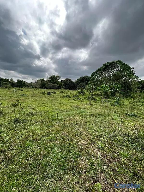 solares y terrenos - FINCA PARA DESARROLLO Y GANADERIA DE ALTO VALOR PR 6
