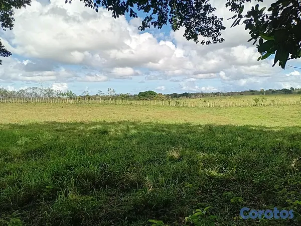 solares y terrenos - finca de 40 tareas en sabanagrande de boya  3