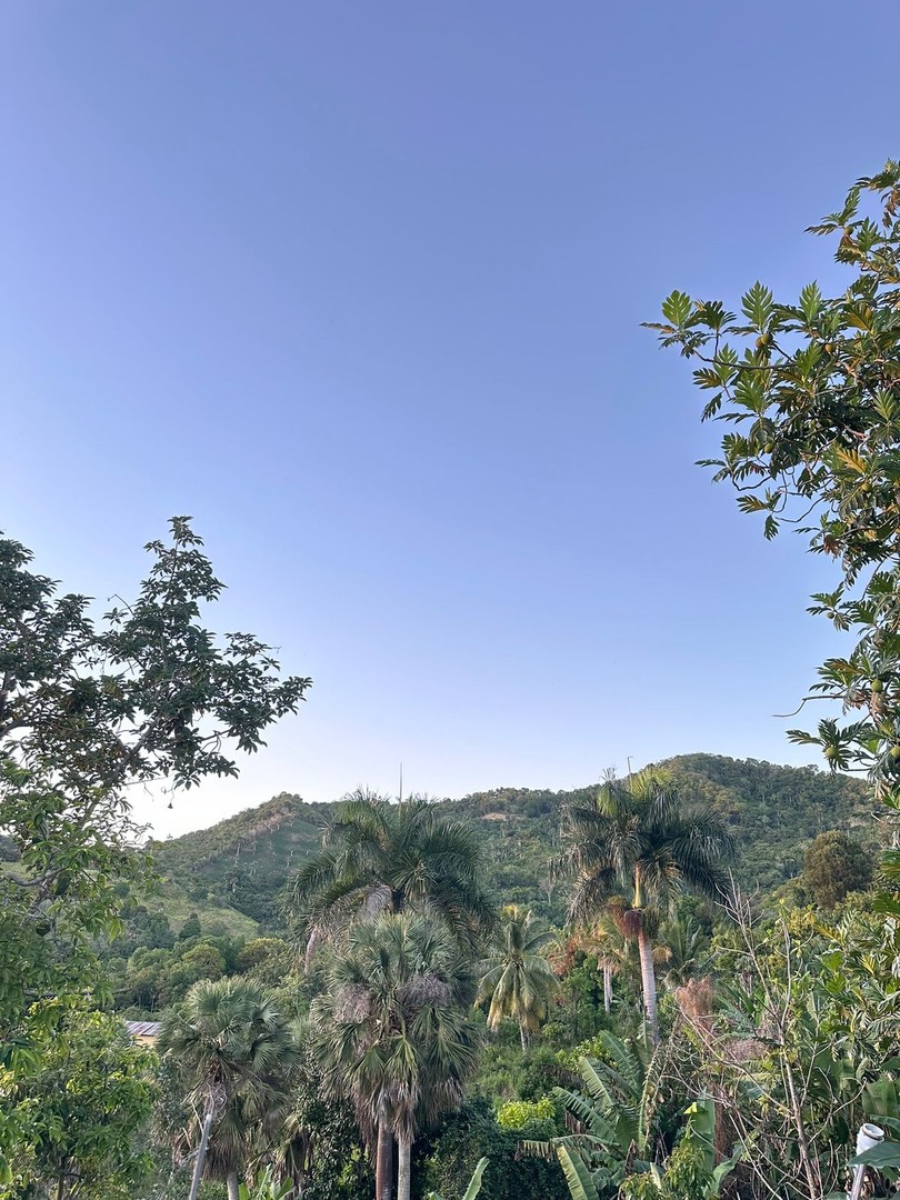 solares y terrenos - Finca de 7 Tareas con Caseta y Piscina en Las Montañas  6