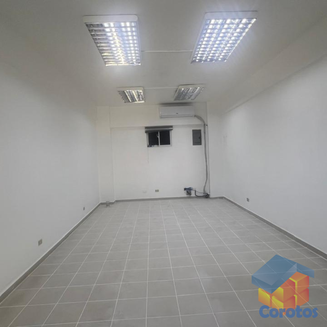 oficinas y locales comerciales - Local Alquiler Arroyo Hondo Viejo 2