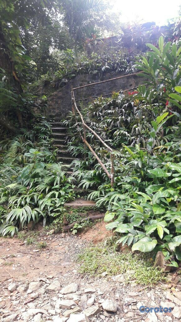 solares y terrenos - Venta de Solares en la Cumbre 5