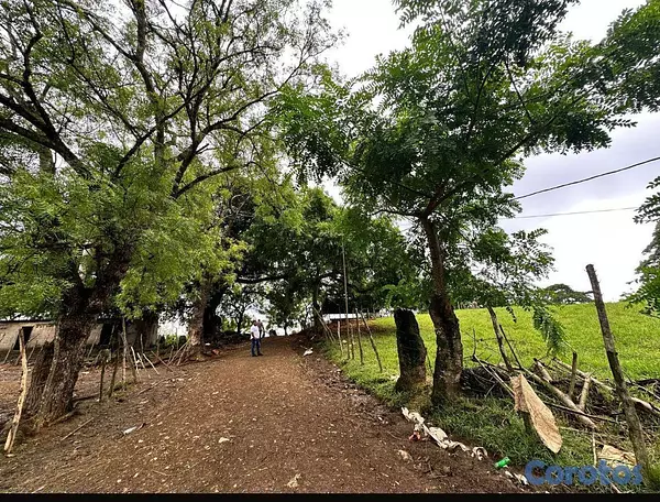 solares y terrenos - En Venta Finca Ganadera en Monte Plata el Hatillo Calle Asfaltada 2
