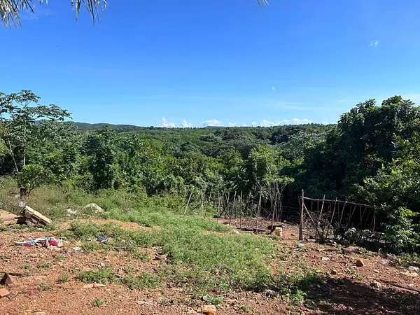 solares y terrenos - Terreno en EL PEDREGAL 2
