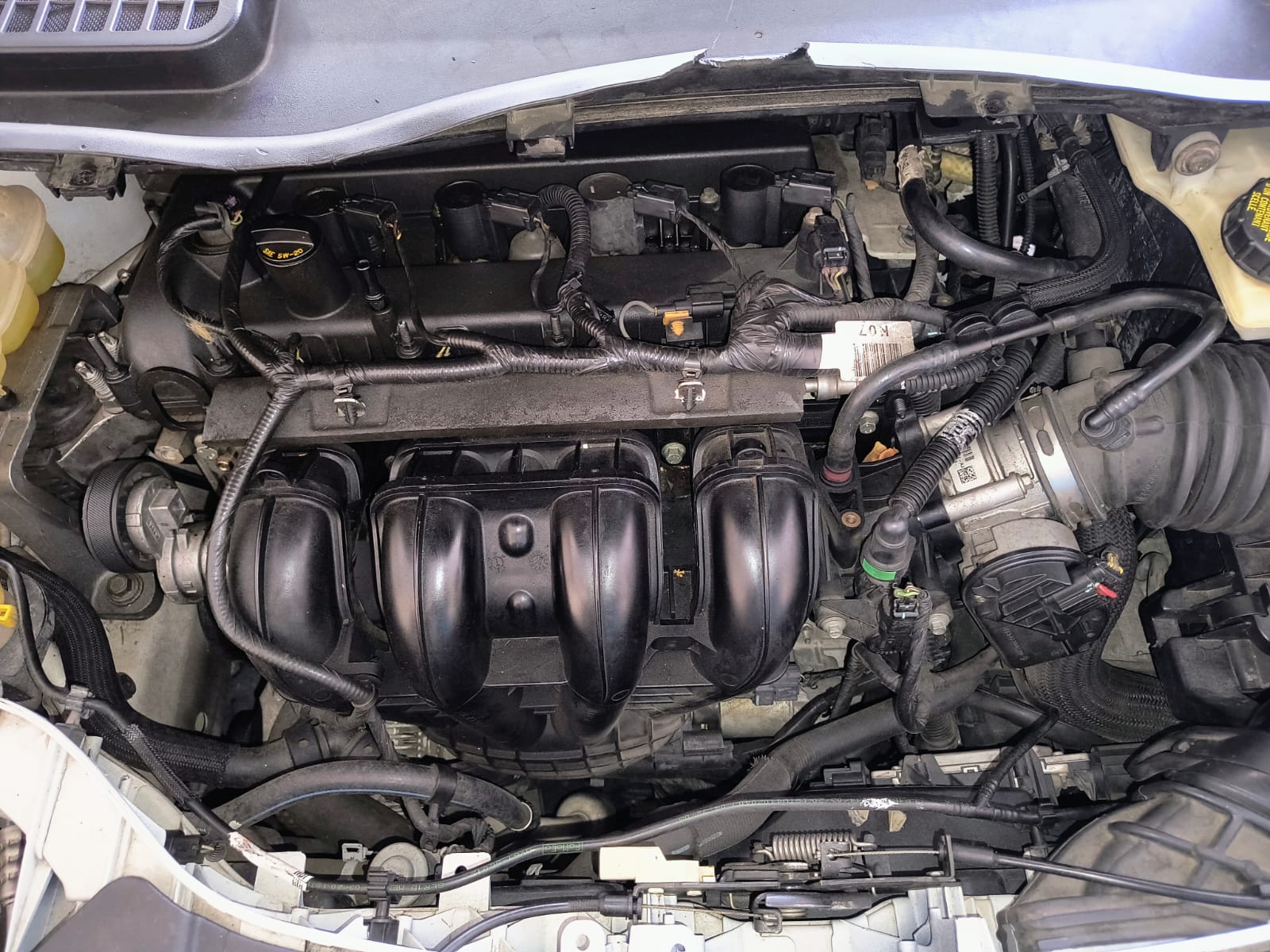 jeepetas y camionetas - Ford Escape 2016 en óptima condiciones 4