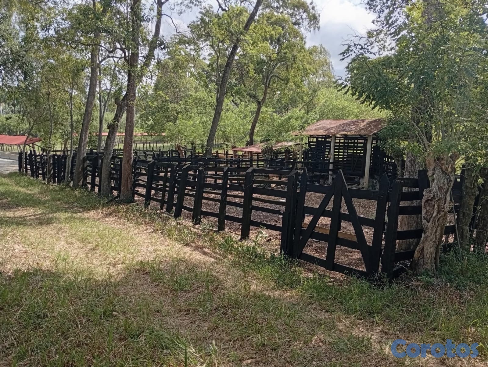 solares y terrenos - finca en Gaspar Hernandez  7
