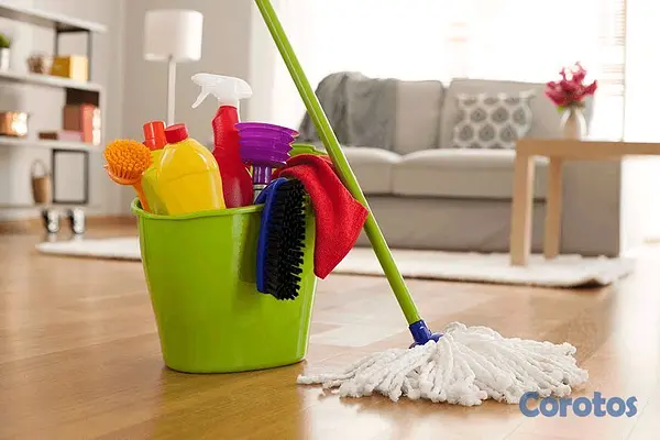 servicios profesionales - Limpiamos tu casa 2