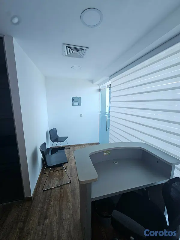 oficinas y locales comerciales - Local de oficina amueblado o vacio en la Gustavo M 4