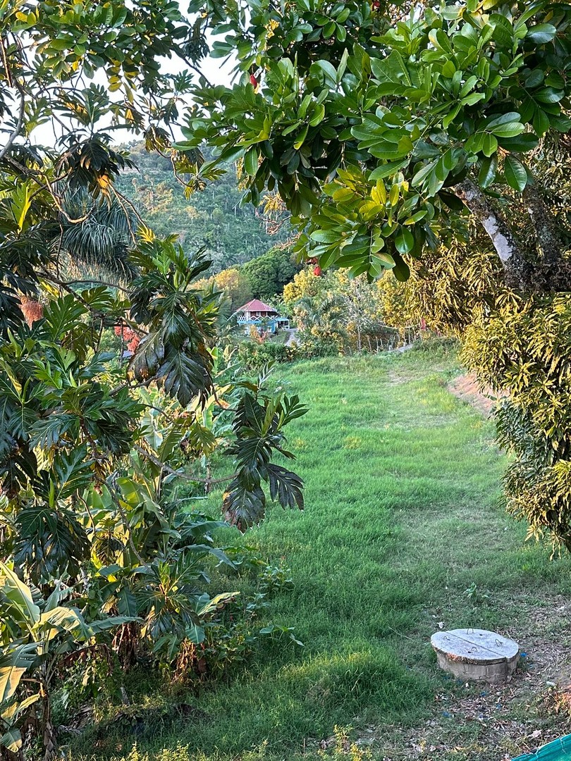 solares y terrenos - Finca de 7 Tareas con Caseta y Piscina en Las Montañas  8