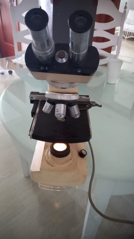 equipos profesionales - Microscopio 