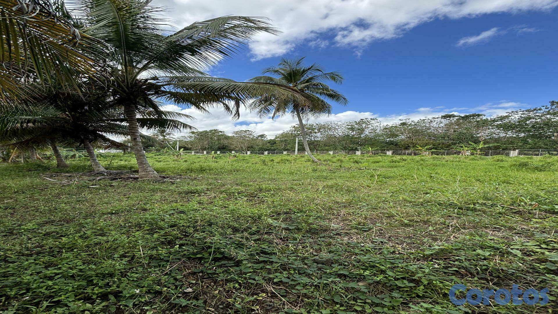 solares y terrenos - Terrenos Autopista Duarte 6