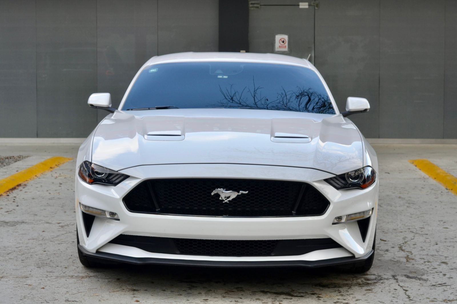 Ford Mustang GT Premium 2019