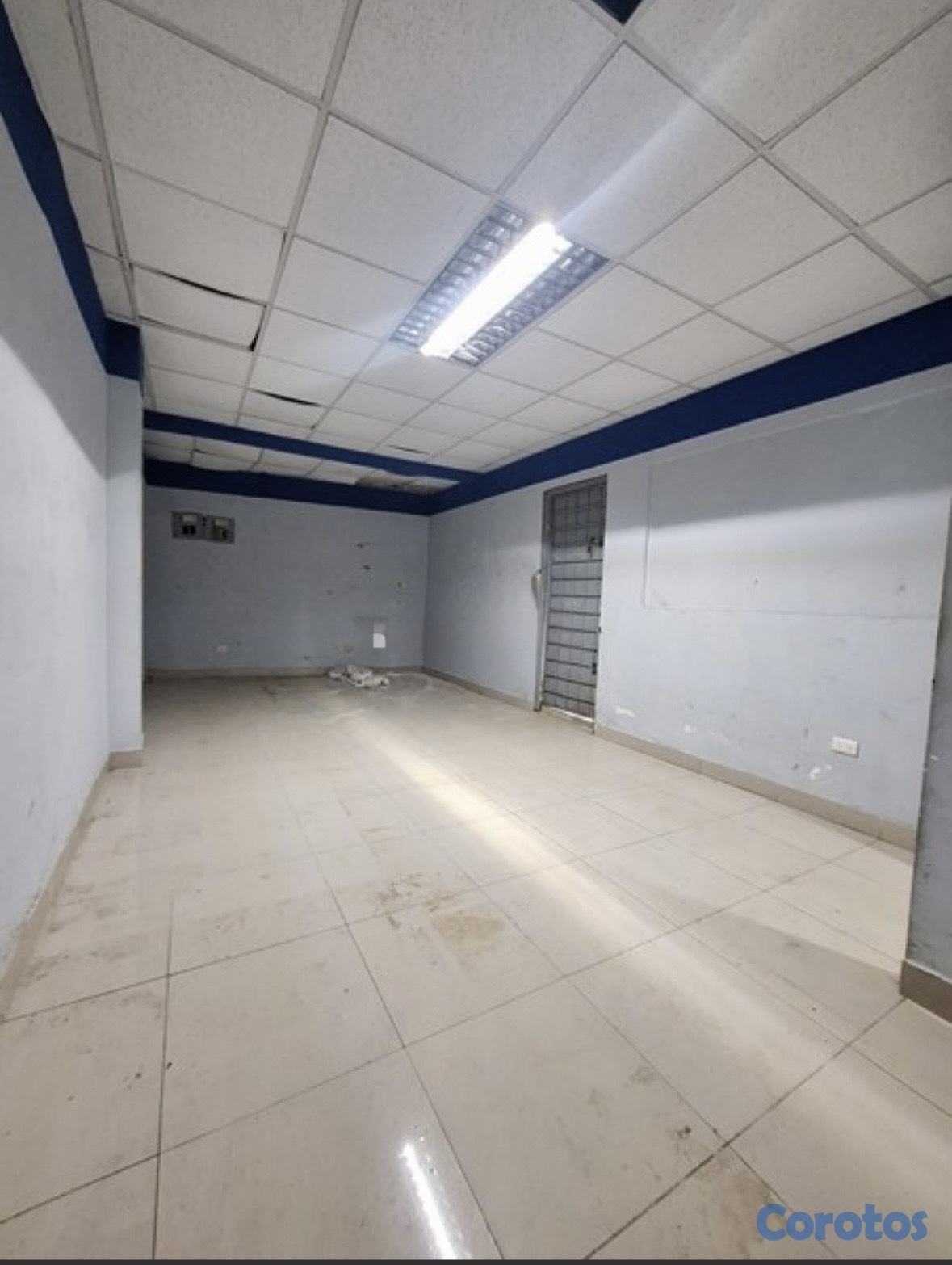 oficinas y locales comerciales - LOCAL COMERCIAL  3