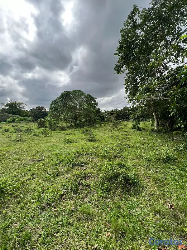solares y terrenos - FINCA PARA DESARROLLO Y GANADERIA DE ALTO VALOR PR 7