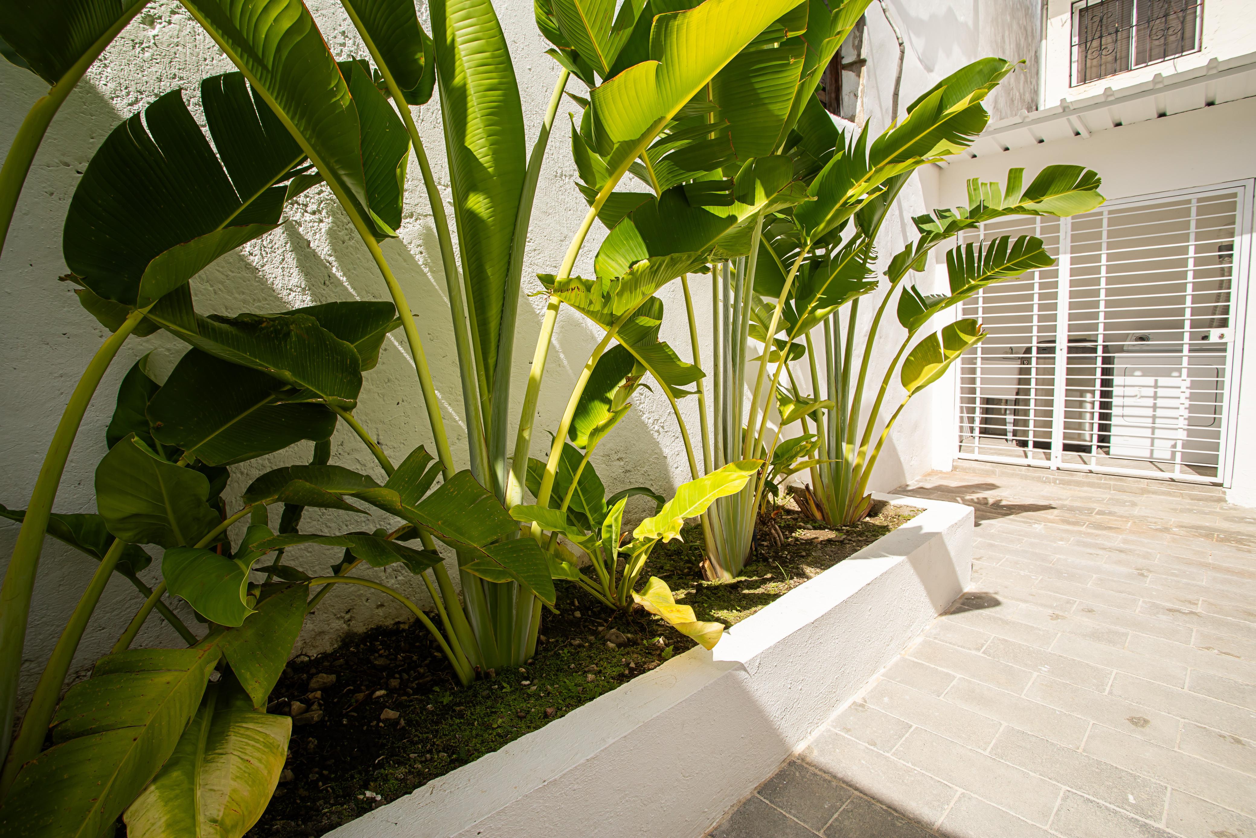 casas - Hermosa casa de alquiler en Puerto Plata 6