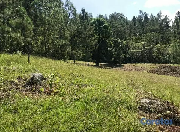 solares y terrenos - TERRENO EN VENTA - JARABACOA. 2