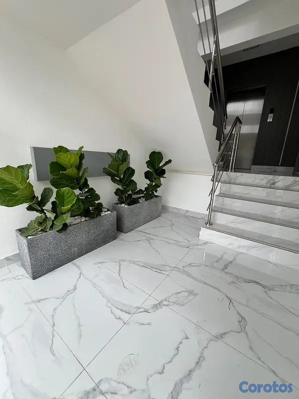 apartamentos - Apartamento en Alquiler  4