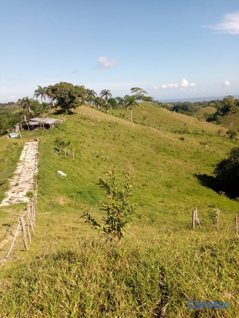 solares y terrenos - finca ganadera en moca  1