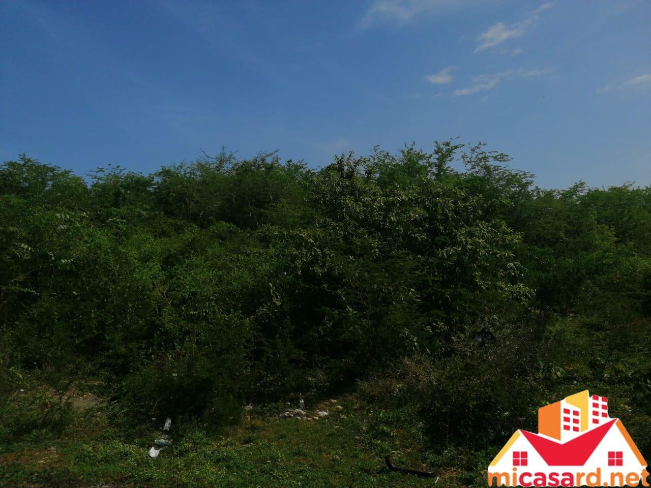 solares y terrenos - Solar Residencial de 96,500 metros en Boca Chica 0