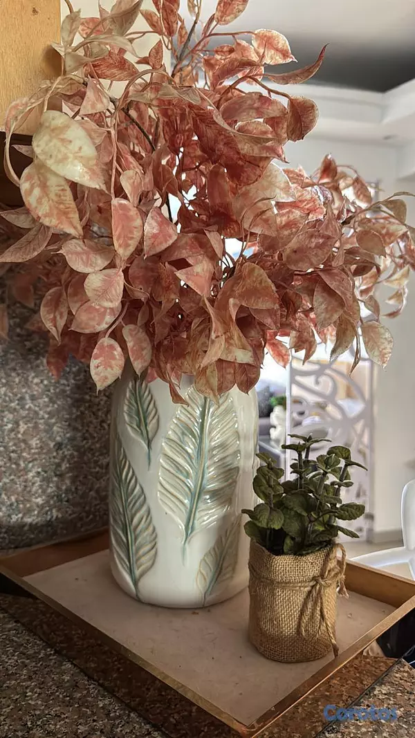 decoración y accesorios - Tarro, lampara, macetero, planta  9