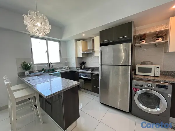 apartamentos - Apartamento en Alquiler en Piantini Amueblado de U 4