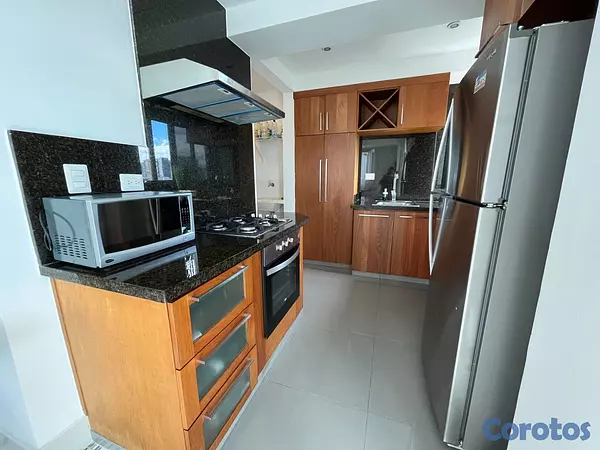 apartamentos - Apartamento en Alquiler en Naco Amueblado de UNA H 5