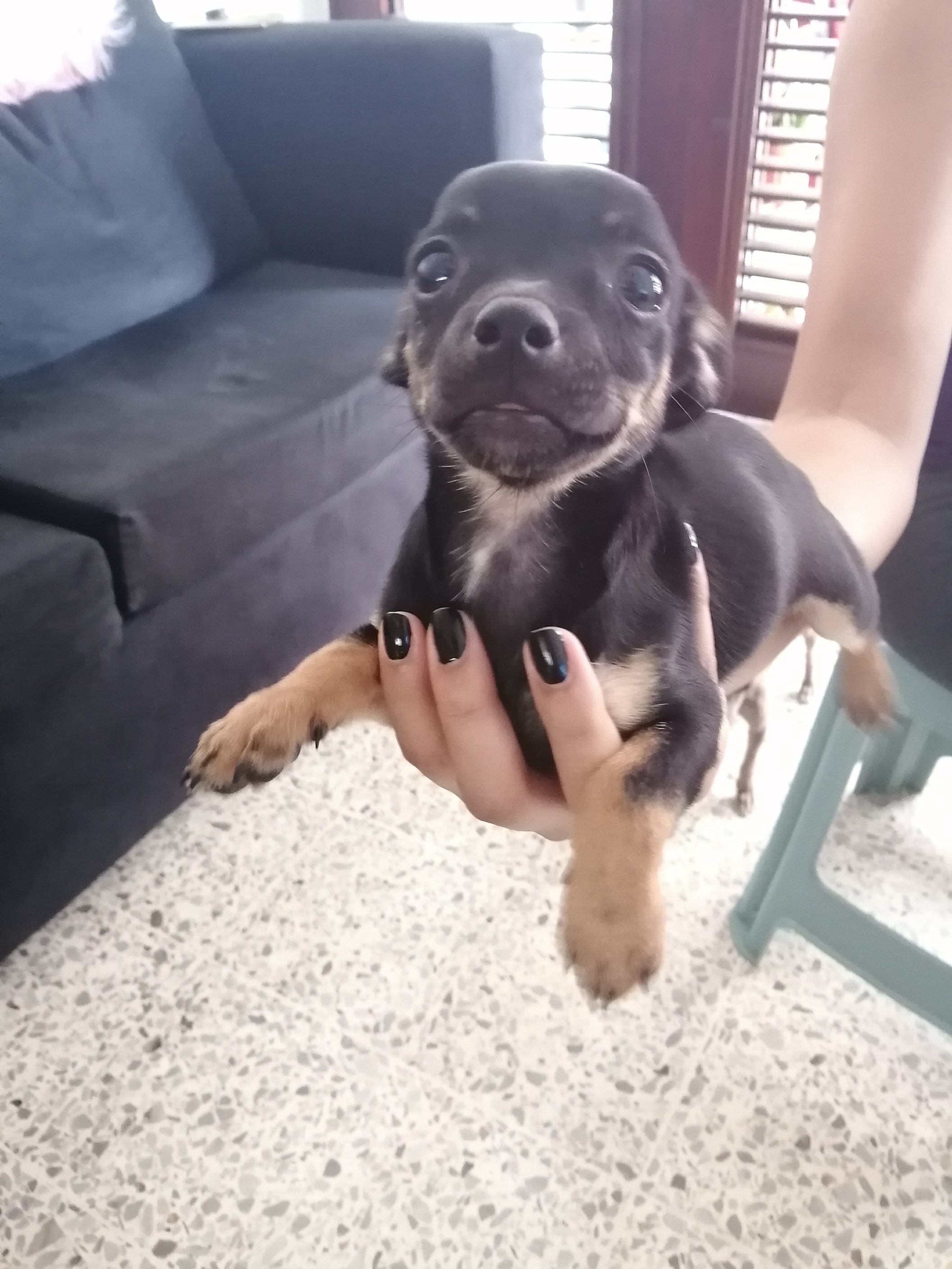 Varón, Chihuahua