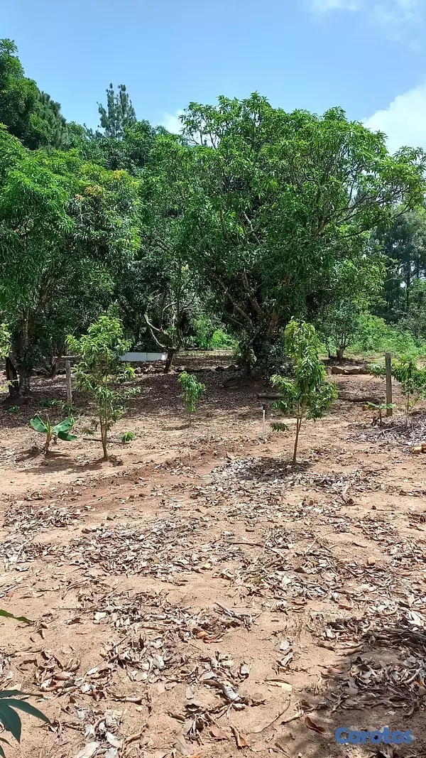solares y terrenos - Solar en venta en los mogotes de Villa Altagracia República Dominicana de 5000m2 6
