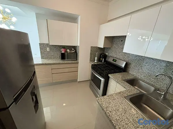 apartamentos - Apartamento con Terraza en Venta en Renacimiento 8